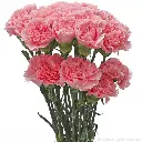 z6610881885988_8b93fa3979222a39164986d72d289658.webp