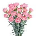 z6610881885821_64beedc758bf84fbc42f336311eba653.webp