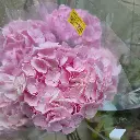 z6725418772658_36196128cd36ce13581754377bf97353.webp