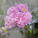z6725418780320_a33646350bd5ee2e3d290a14f7edba10.webp