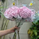 z6725418785883_058cfa25ae9448b47b9086d22efdb1f6.webp