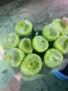 z6713730883481_a7c36786c127dfcd729703ebf8fc8615.webp