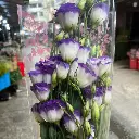 z6615806608063_435a0580bb49441ac6c30f5c356a3945.webp
