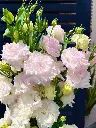 z6615901441993_bfb093ca55f75cdbaf98d9a3465870c6.webp