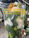 z6615902004590_df83180da8562dcab1465b0663f4080d.webp