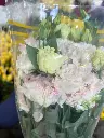 z6615902143866_4add04184fe65177eaba42c0fb3ae671.webp