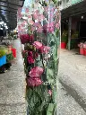 z6615794290811_1cce2f5a08de70bccc0ff113b6741a9a.webp