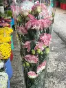z6615843670969_1452bdca922b920d32c8d1eea00e0967.webp