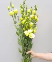 z6615866207106_853a2548d158ac546bb55d0aa2295723.webp