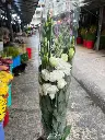 z6615834309669_ed923de587ed3663ac514d5b5df8e0de.webp