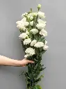 z6615819303987_3ba616d1d5441468852685ef25be372e.webp