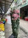 z6615892874033_480831b48e0cf5c9cc0383ea9b327c76.webp