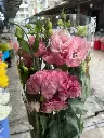 z6615892973837_de51af6ae0e9360355ae6362031e8dbd.webp