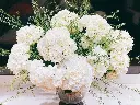 z6610991493601_e9358e6728628ebf1d21a90afab8fe51.webp
