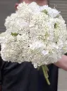 z6610990869528_62fc9f5eb7ab9dd0c922035832a3ad64.webp