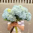 z6610990905903_48184982d6cfbbdd38bb8fff39460172.webp