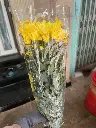 z6713638662544_8468d859f064297104a73c5e3e919502.webp