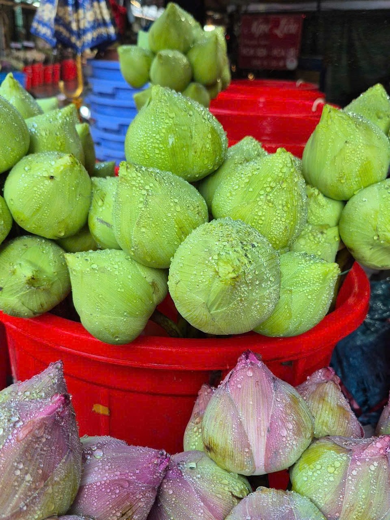 Sen hồng