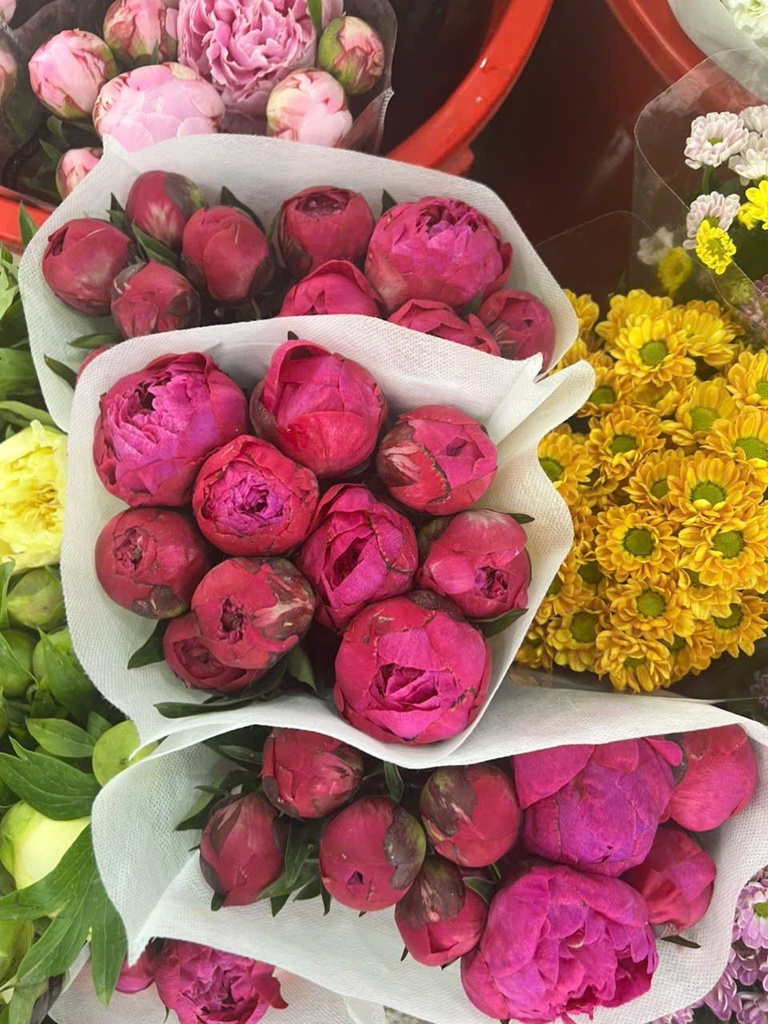Hoa mẫu đơn