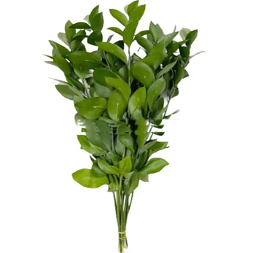 Lá chanh nhỏ - C (bó 10 cành)