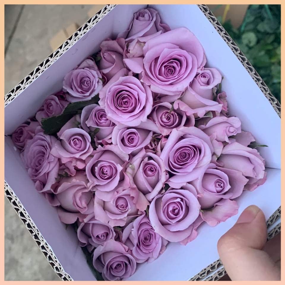 Hoa hồng Tím huế (50 bông/bó)