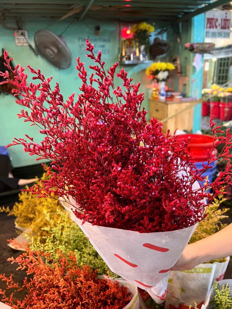 Sao tím nhuộm đỏ ( 1 bó)