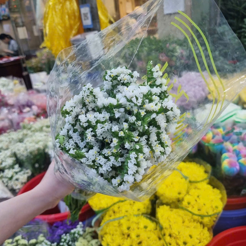 Salem trắng (5 cành/bó)