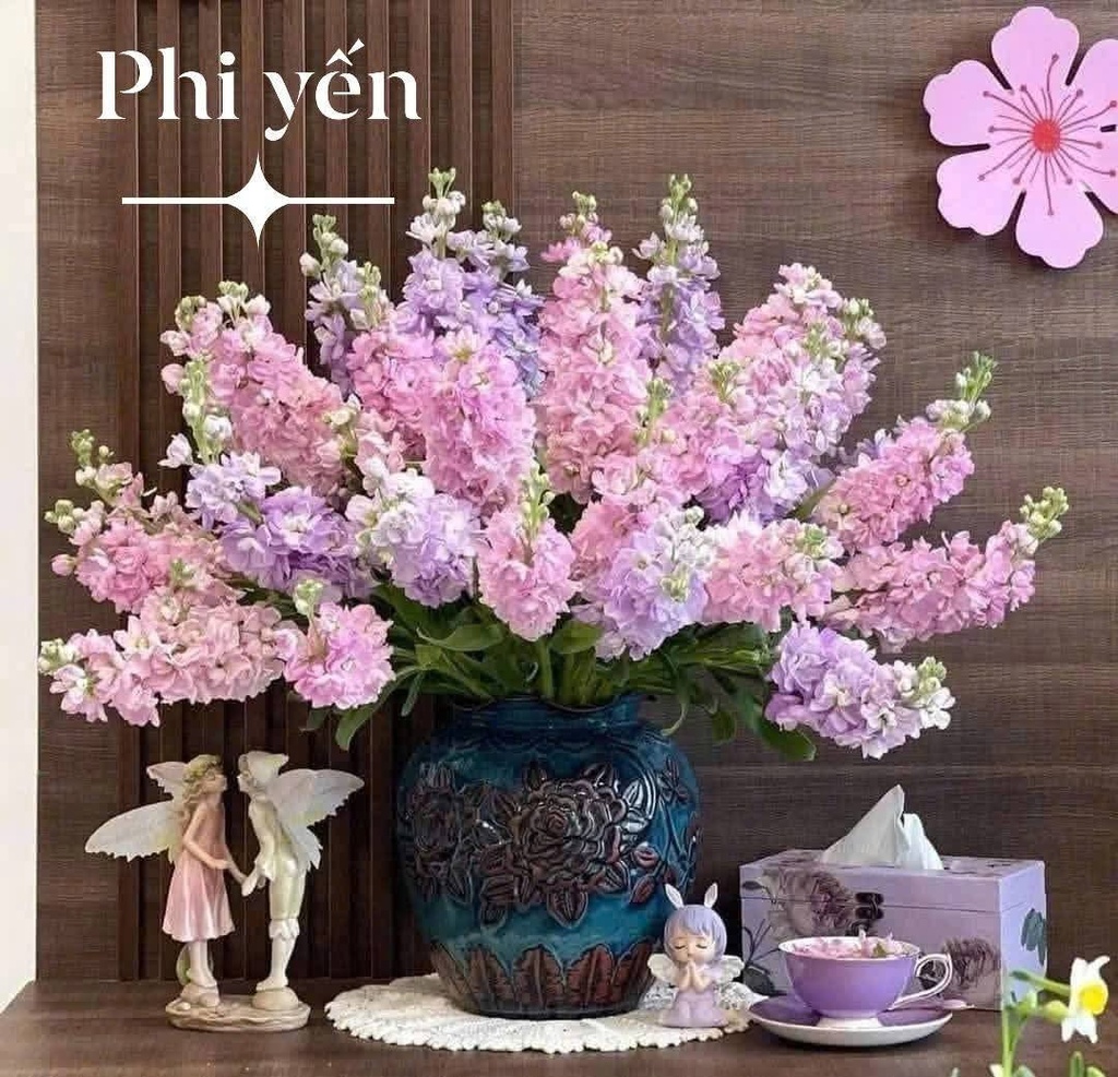 Phi yến hồng (10 cành)