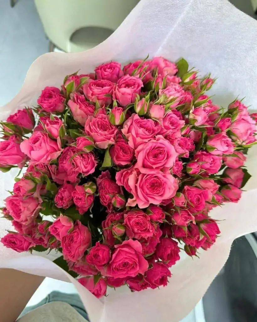 Hồng chùm hồng cánh sen đậm (Deep pink)