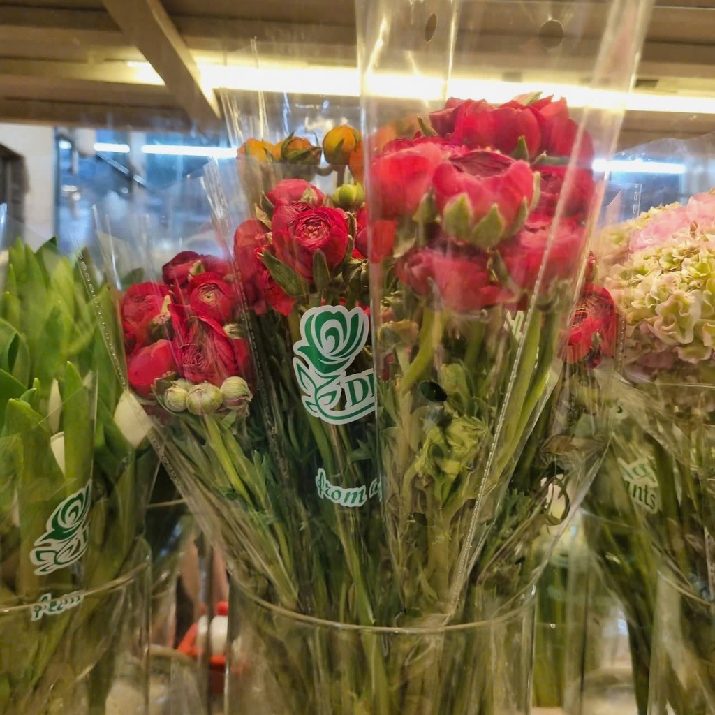 Hoa mao lương đỏ đậm (10 bông/bó)