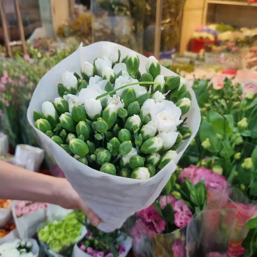 Cẩm chướng chùm - Trắng (20 cành)