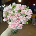 Cẩm chướng chùm - Hồng phớt (20 cành)