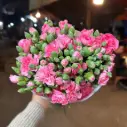 Cẩm chướng chùm - Hồng sen (20 cành)