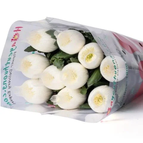 Cúc Lưới trắng - Hàng Công ty (10 cành)