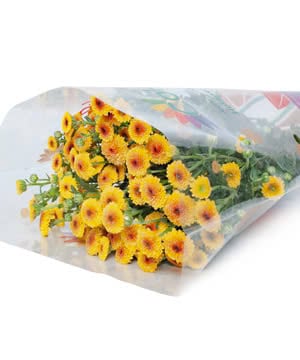 Cúc Calimero Vàng Nhụy Nâu Đà Lạt (10 cành)