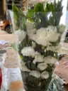 Cát Tường xoăn – trắng