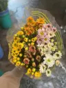 Cúc tứ quý (bó 10 cành)