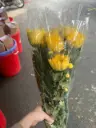 Cúc kim cương, nhỏ (10 cành)