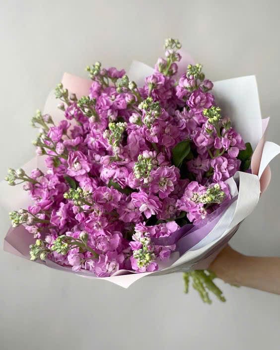 Bó Nhẹ Nhàng Sắc Hoa - HCM0246