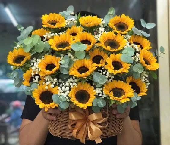 Hương Sắc Dịu Dàng - HCM0366