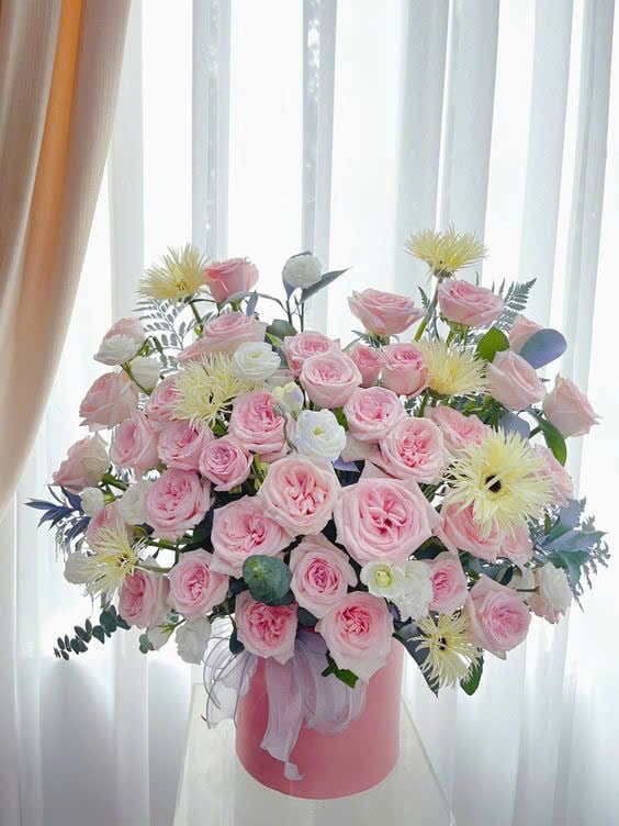 Hương Sắc Dịu Dàng - HCM0372