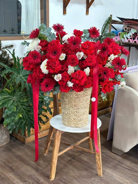 Vương Vấn Sắc Xuân - HCM0419