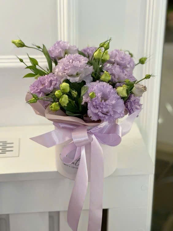 Giấc Mơ Tím - HCM048