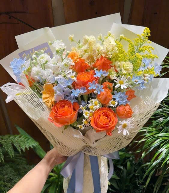 Bó Vệt Nắng Xuân - HCM053