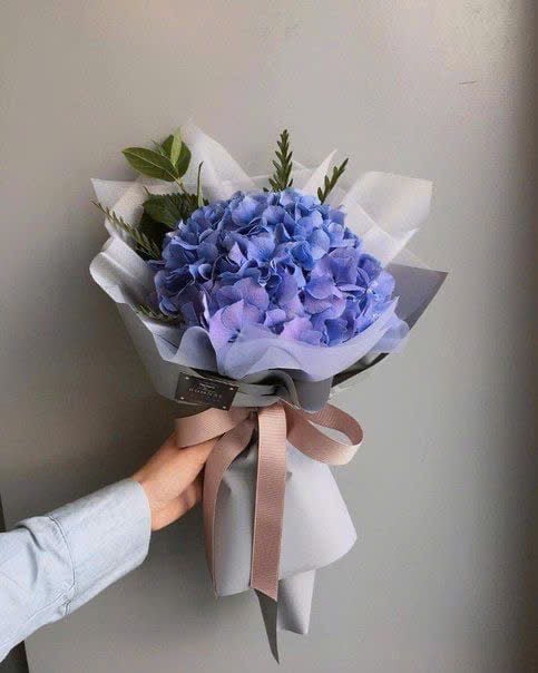 Bó Hoa Cẩm Tú Cầu - HCM0150