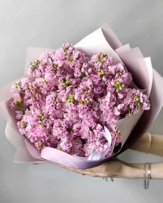 Bó Nhẹ Nhàng Sắc Hoa - HCM0222