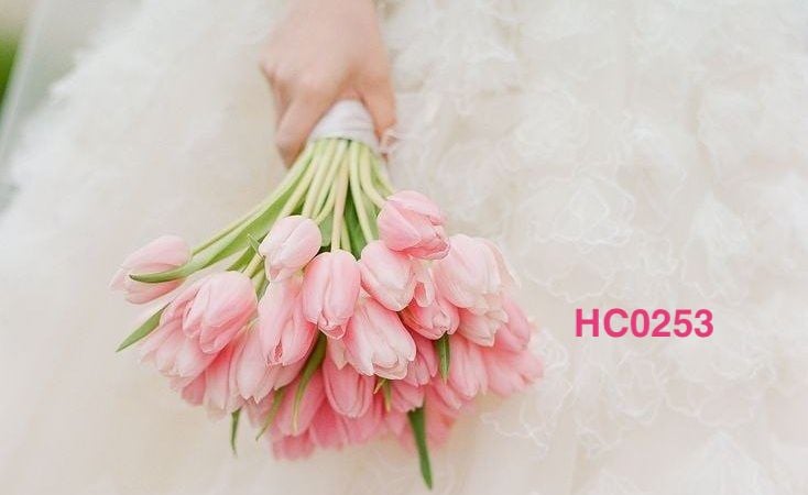 Hoa cưới cầm tay- HC0253