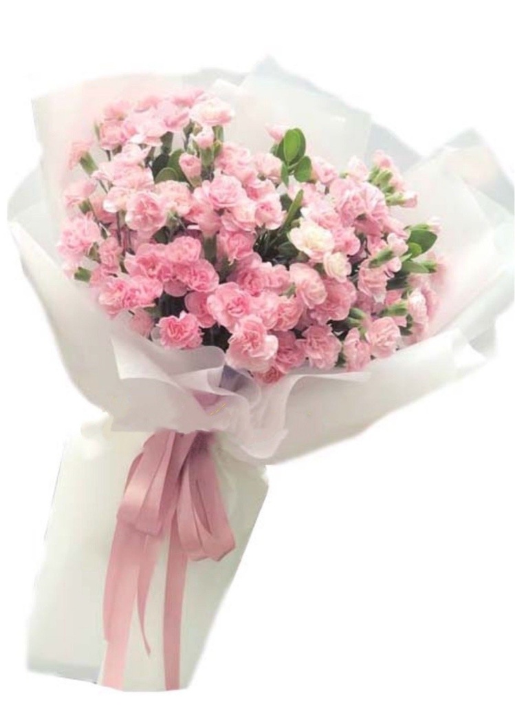 Bó Hoa Cẩm Chướng Hồng - HCM011