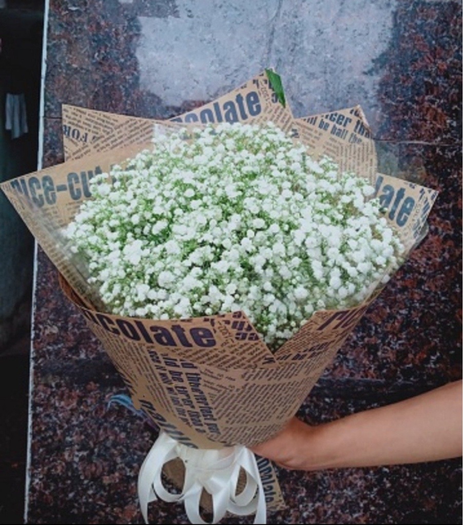 Bó Hoa Mây Trắng - HCM013