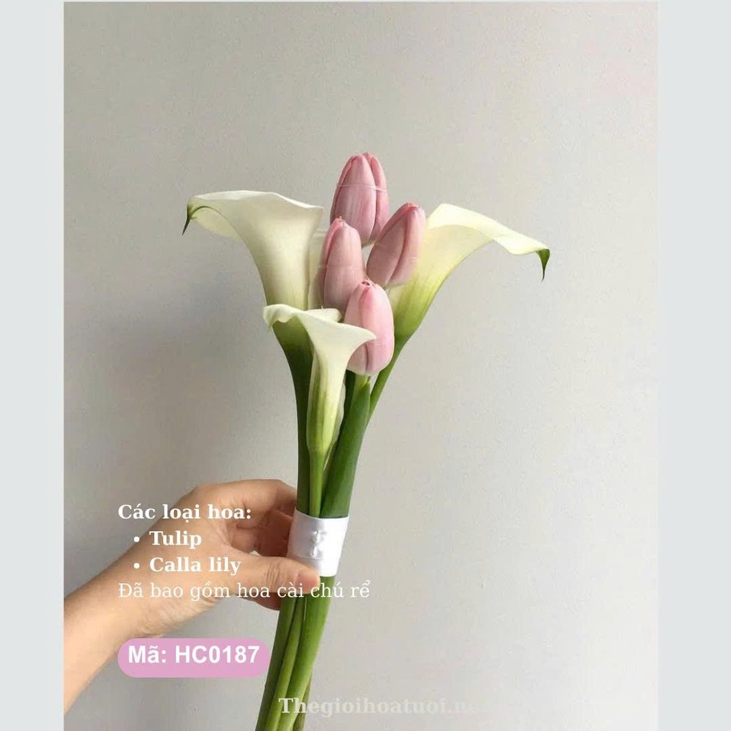 Hoa cưới cầm tay- HC0187